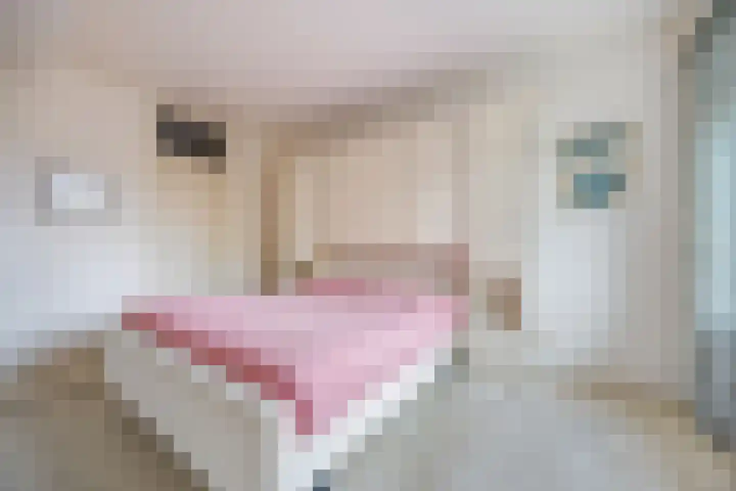Dr. Schaepmanlaan 13 Breda thumbnail 31