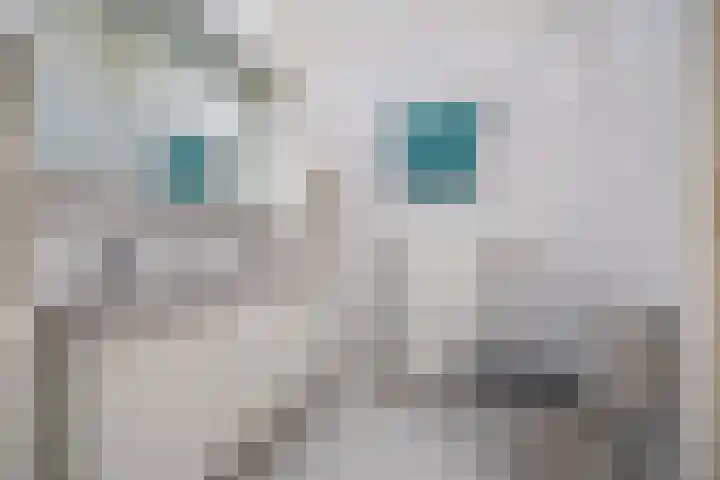Dr. Schaepmanlaan 13 Breda thumbnail 34