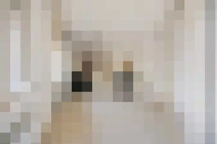 Dr. Schaepmanlaan 13 Breda thumbnail 36