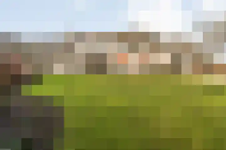 Dr. Schaepmanlaan 13 Breda thumbnail 40
