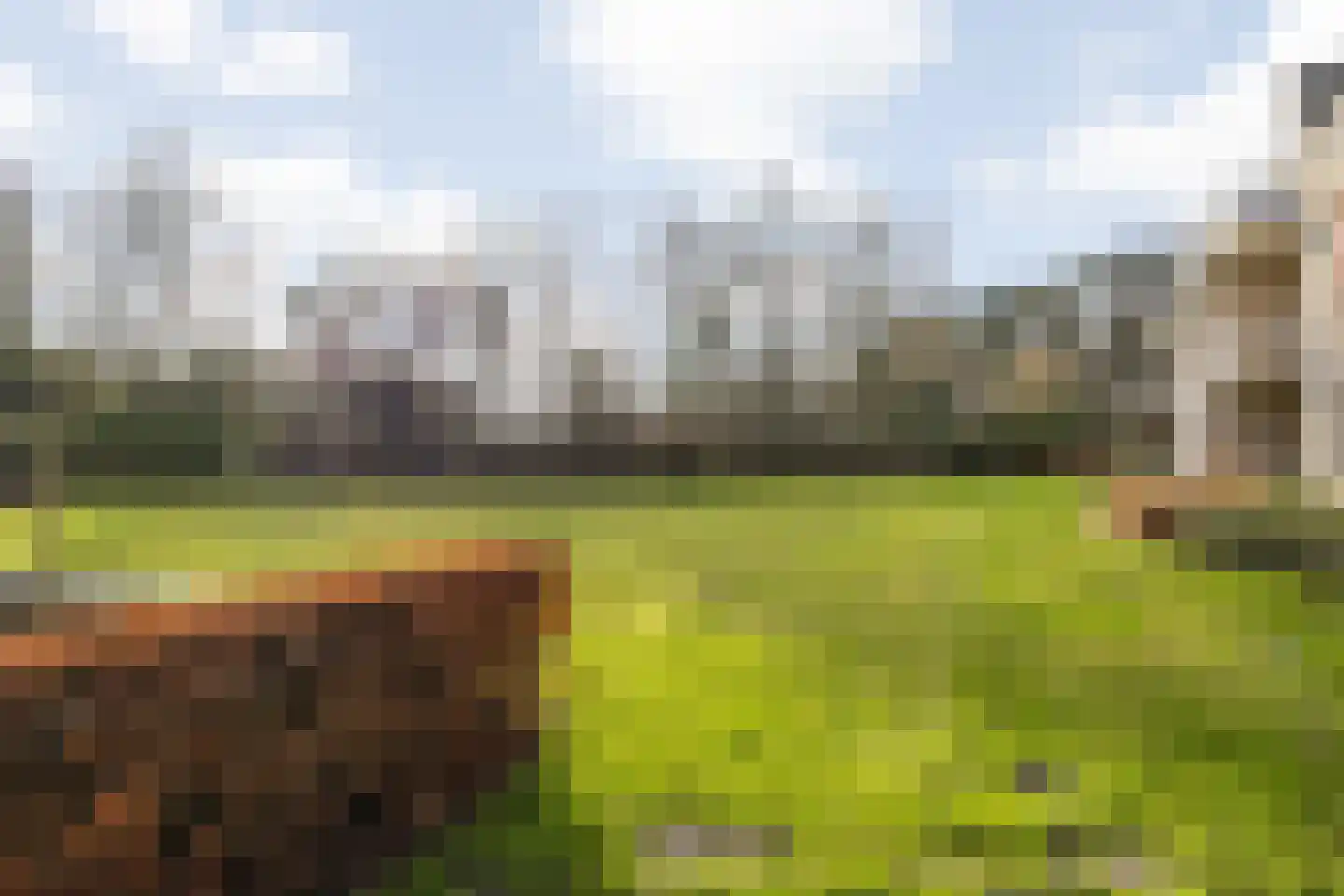 Dr. Schaepmanlaan 13 Breda thumbnail 40