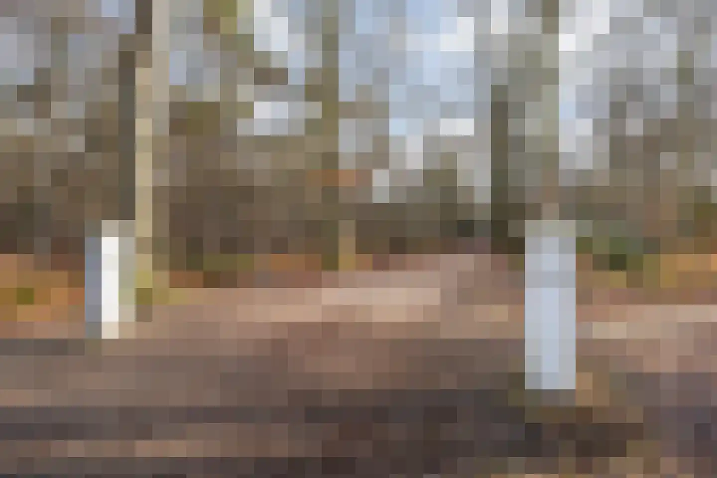 Dr. Schaepmanlaan 13 Breda thumbnail 42