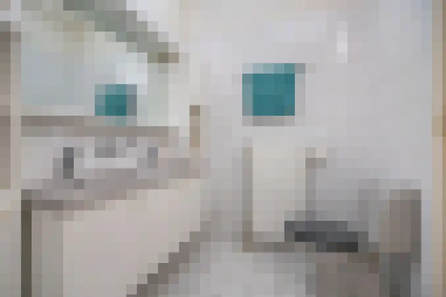 Dr. Schaepmanlaan 13 Breda thumbnail 5
