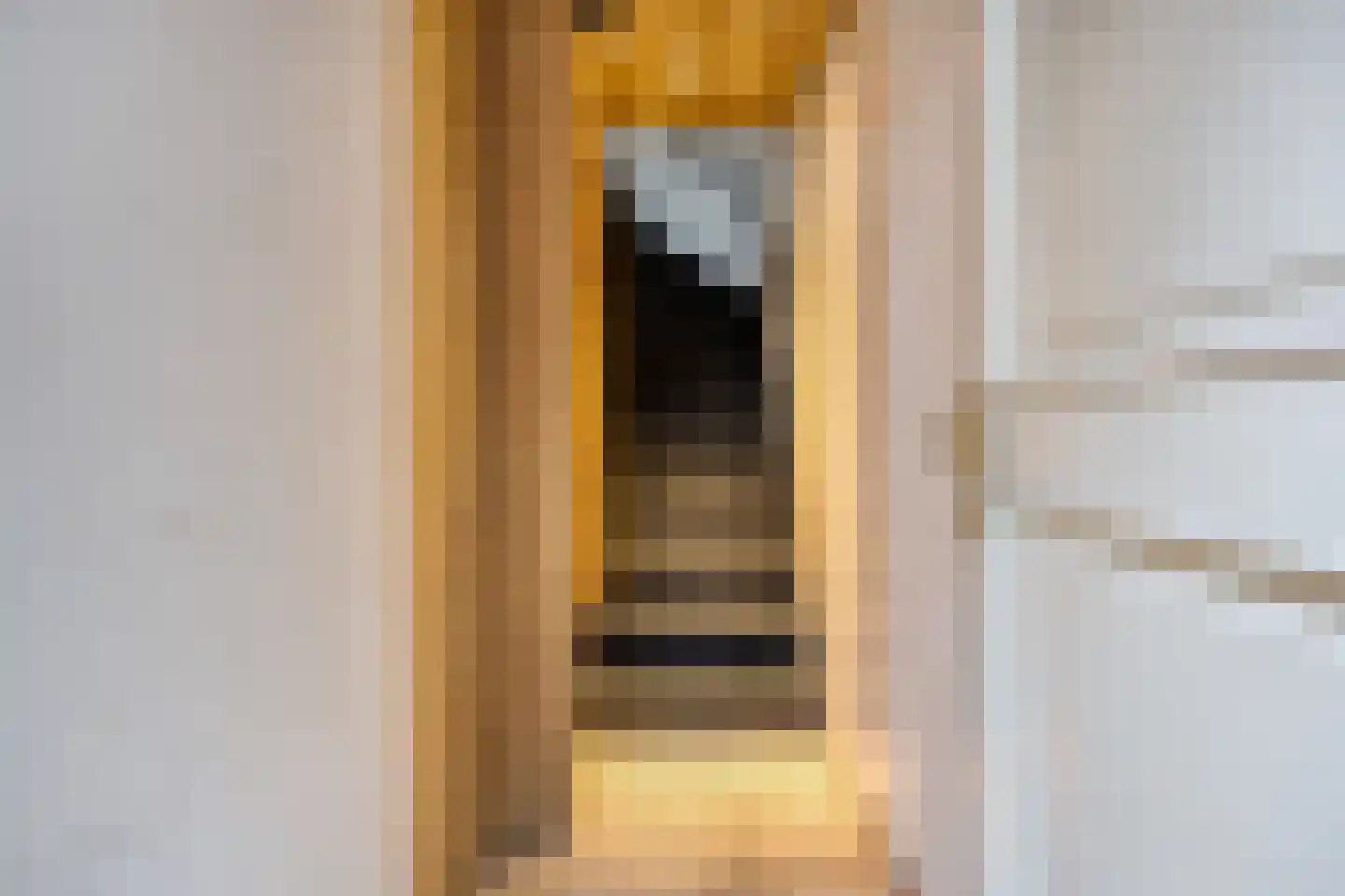Dr. Schaepmanlaan 19 Veghel thumbnail 14