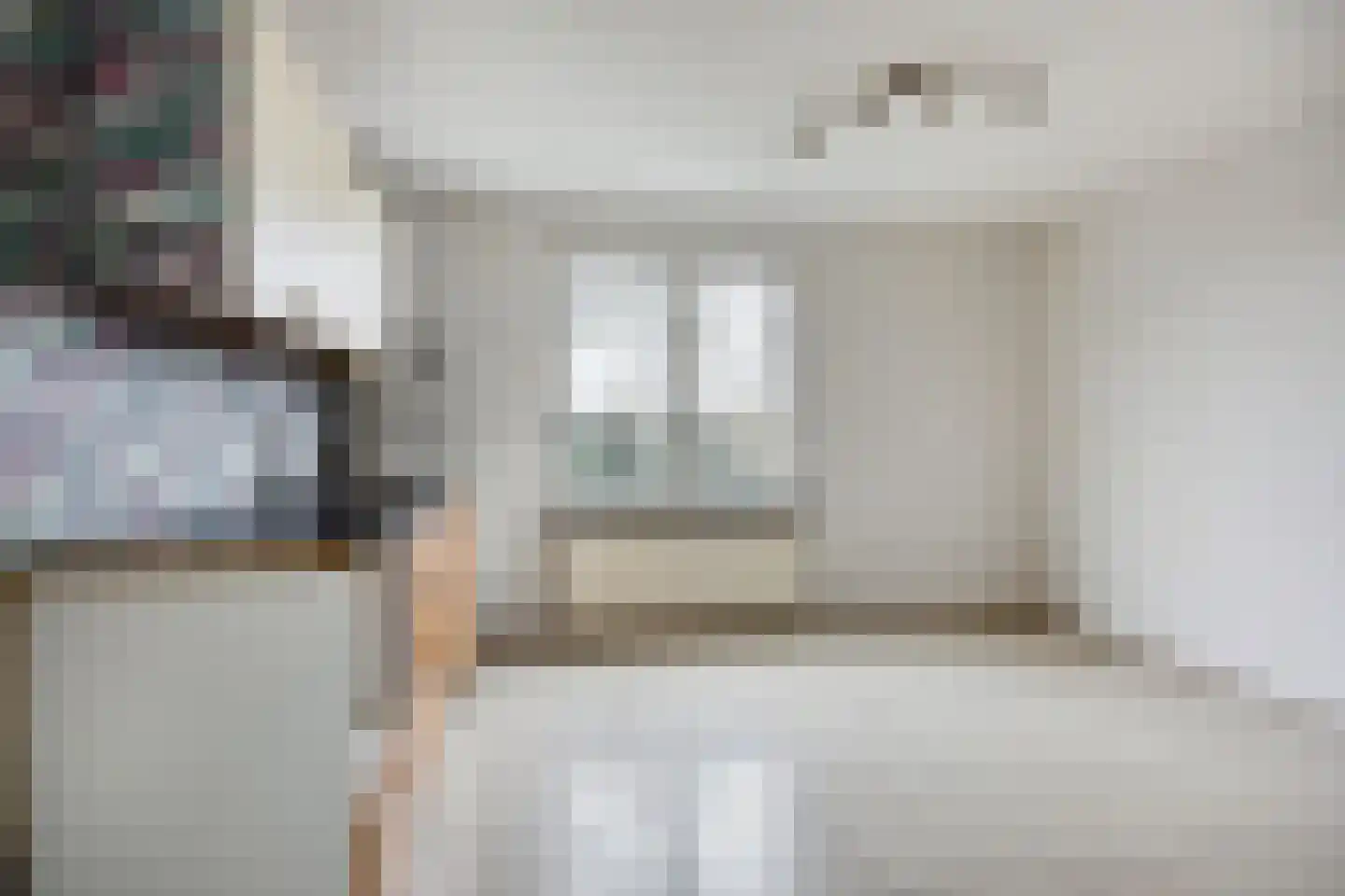 Dr. Schaepmanlaan 19 Veghel thumbnail 18