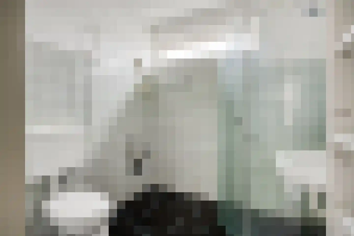 Dr. Schaepmanlaan 19 Veghel thumbnail 21