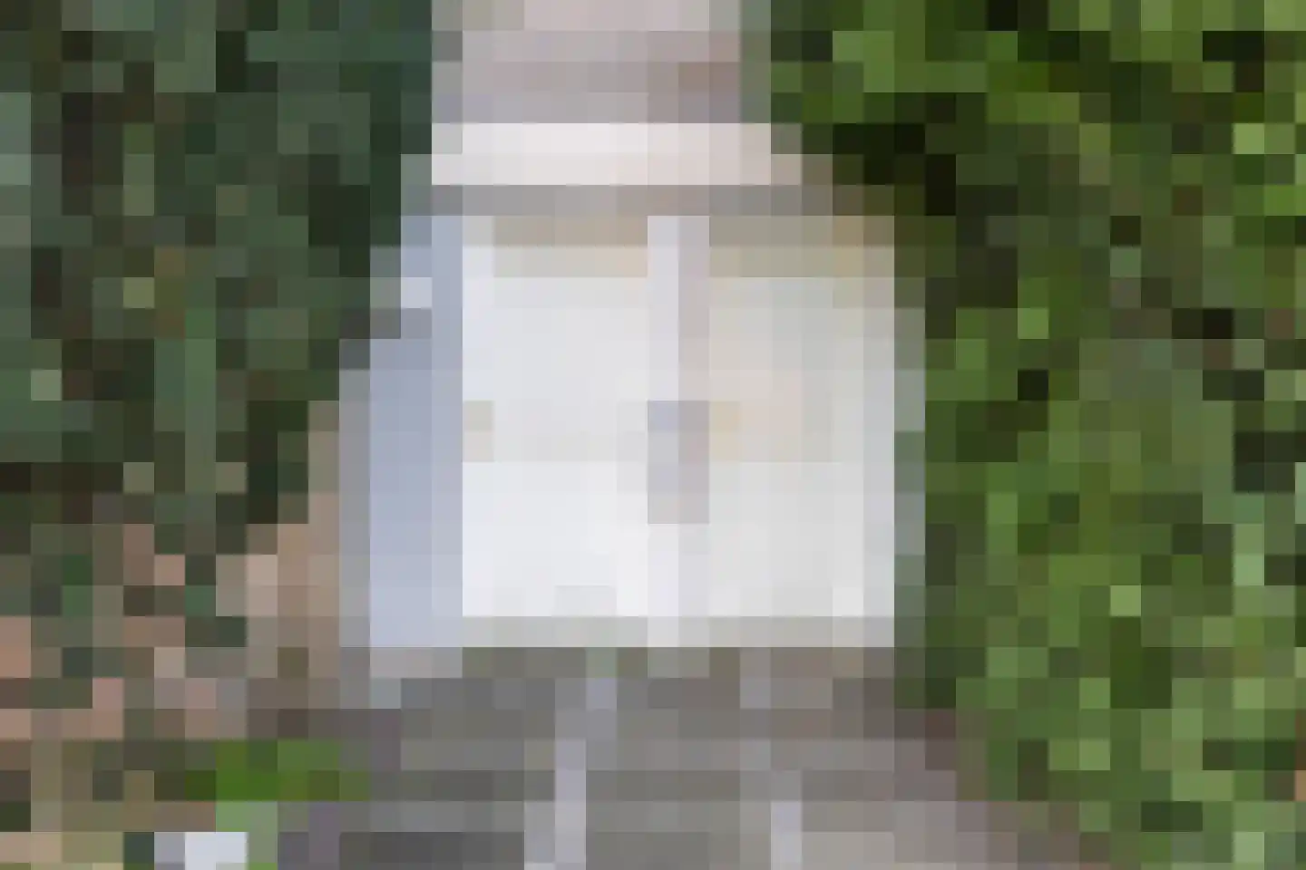 Dr. Schaepmanlaan 19 Veghel foto 3