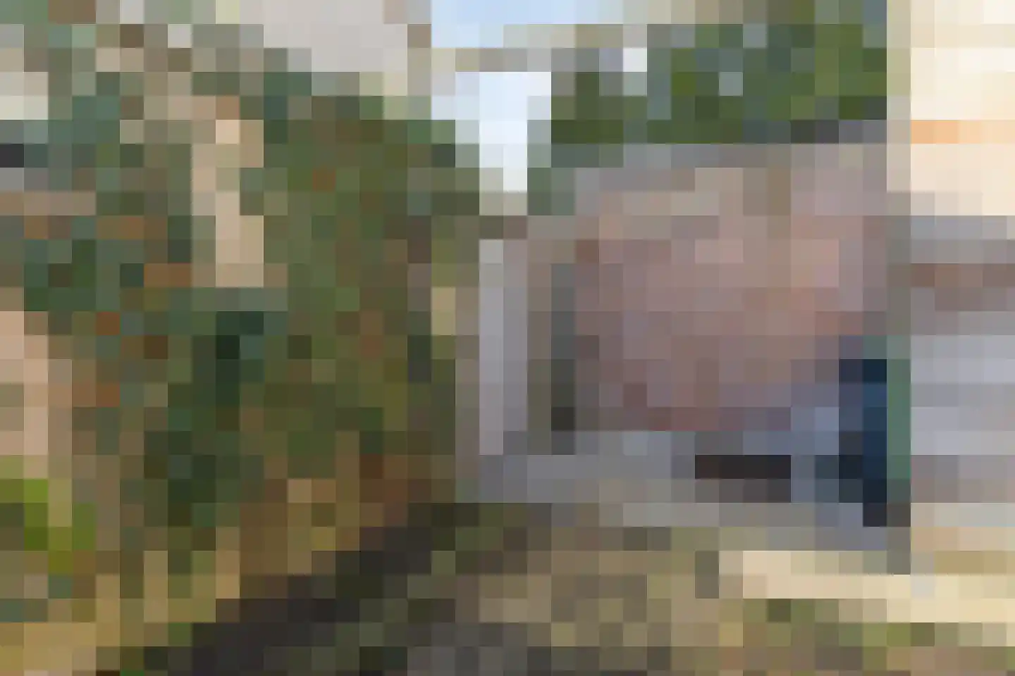 Dr. Schaepmanlaan 19 Veghel thumbnail 33