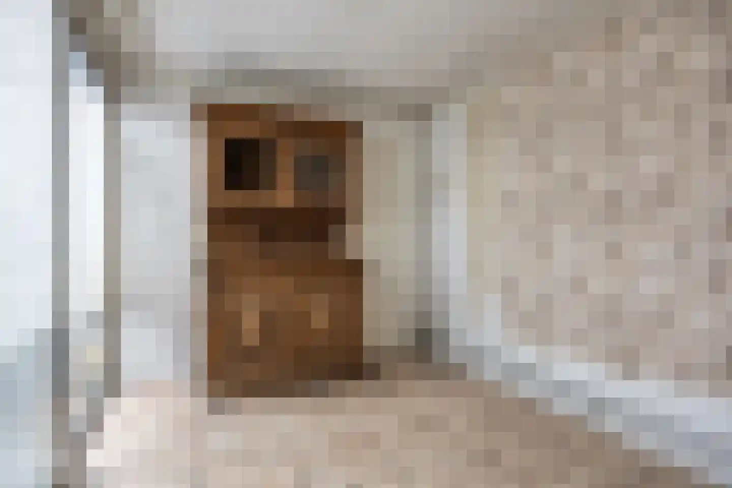 Dr. Schaepmanlaan 19 Veghel thumbnail 34