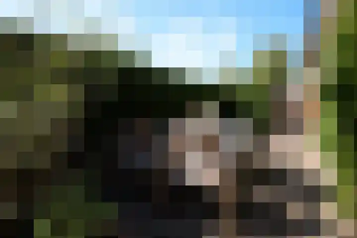 Dr Schaepmanlaan 2 A Noordwijkerhout thumbnail 12