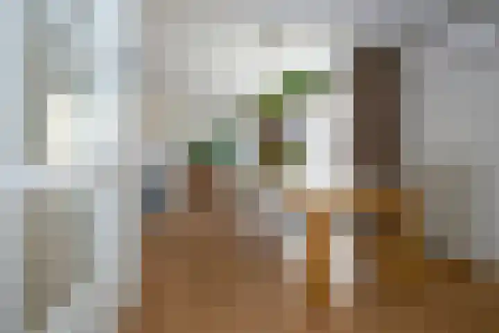 Dr Schaepmanlaan 2 A Noordwijkerhout thumbnail 21