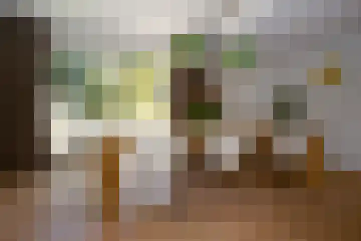 Dr Schaepmanlaan 2 A Noordwijkerhout thumbnail 22