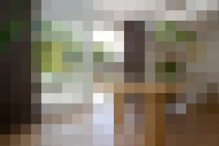 Dr Schaepmanlaan 2 A Noordwijkerhout thumbnail 23