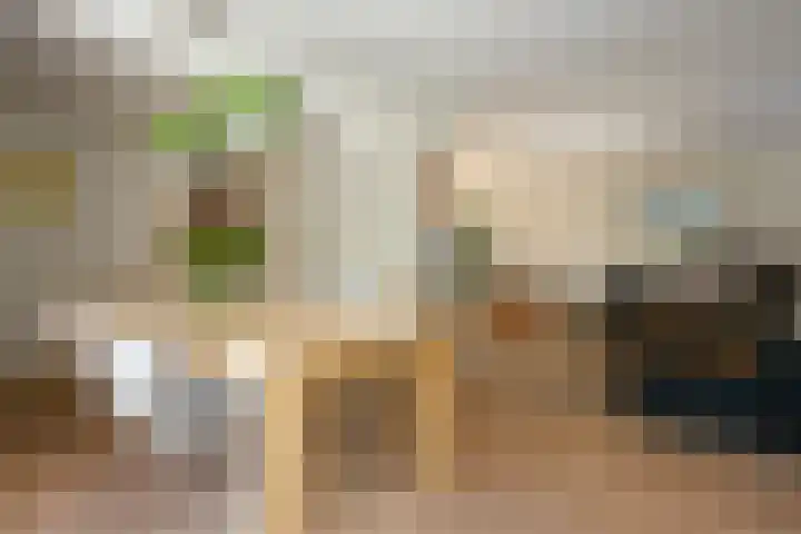 Dr Schaepmanlaan 2 A Noordwijkerhout thumbnail 24