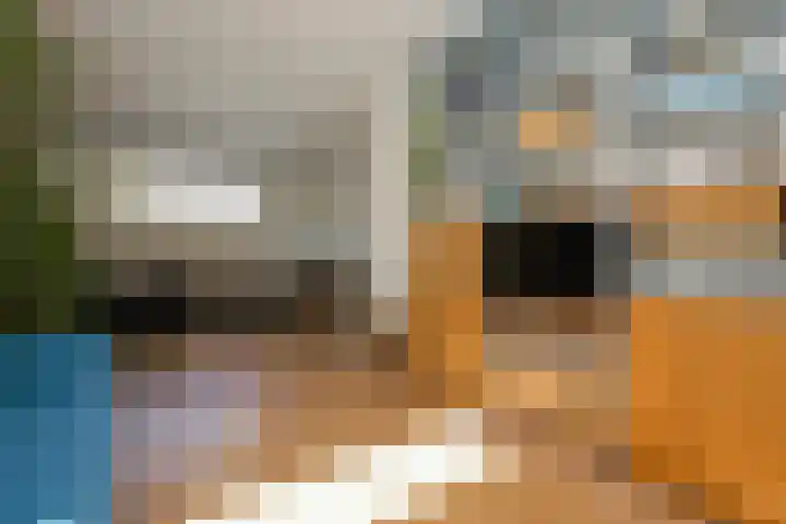Dr Schaepmanlaan 2 A Noordwijkerhout thumbnail 28