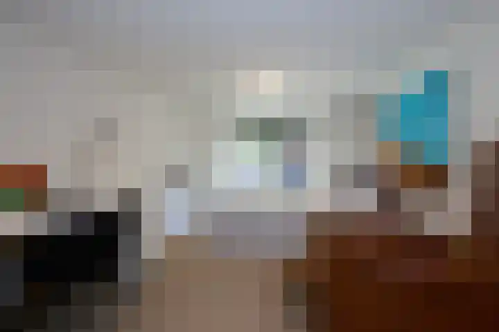 Dr Schaepmanlaan 2 A Noordwijkerhout thumbnail 34