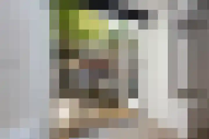 Dr Schaepmanlaan 2 A Noordwijkerhout thumbnail 35
