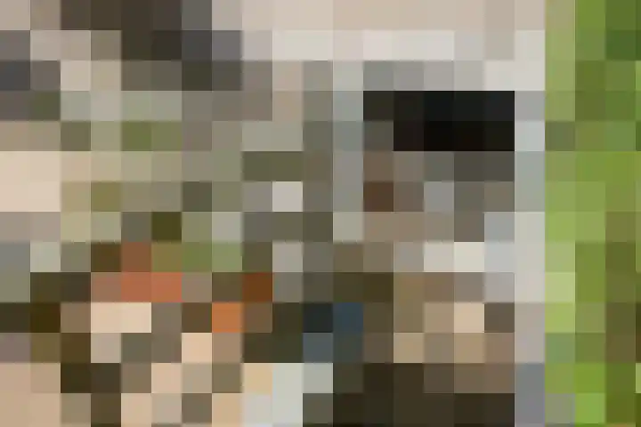 Dr Schaepmanlaan 2 A Noordwijkerhout thumbnail 36