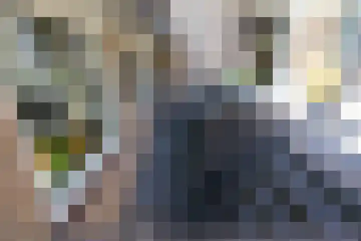 Dr Schaepmanlaan 2 A Noordwijkerhout thumbnail 37