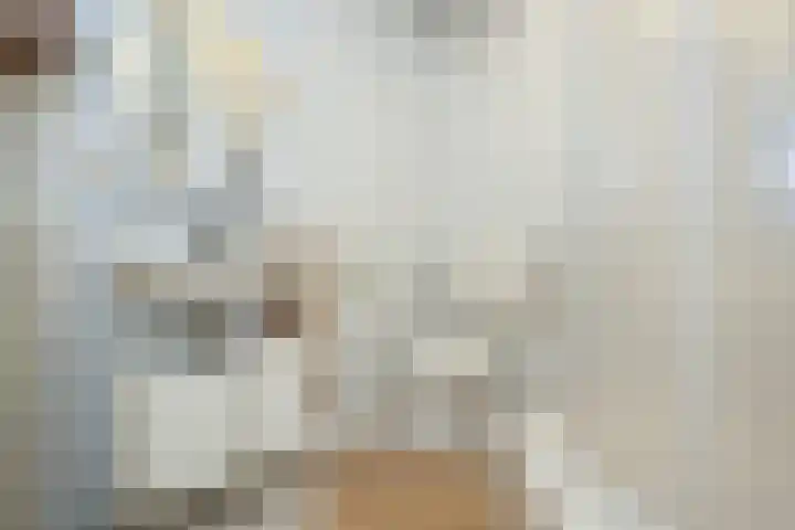 Dr Schaepmanlaan 2 A Noordwijkerhout thumbnail 39