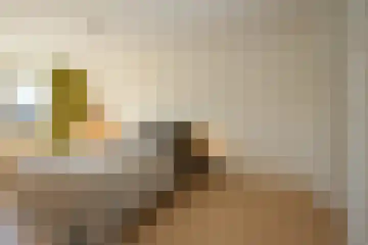Dr Schaepmanlaan 2 A Noordwijkerhout thumbnail 43