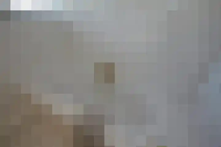 Dr Schaepmanlaan 2 A Noordwijkerhout thumbnail 50
