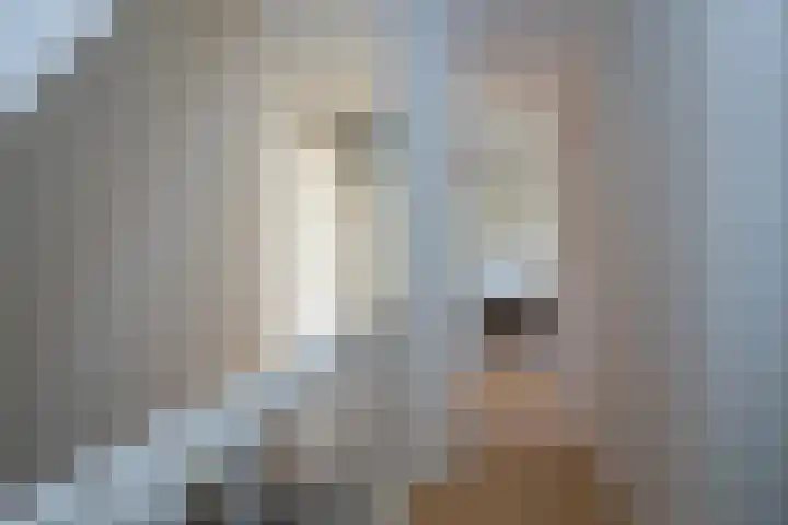 Dr Schaepmanlaan 2 A Noordwijkerhout thumbnail 51
