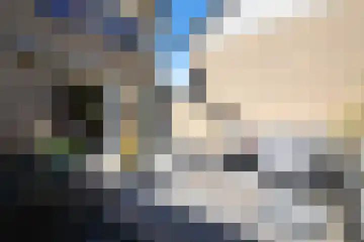 Dr Schaepmanlaan 2 A Noordwijkerhout thumbnail 62