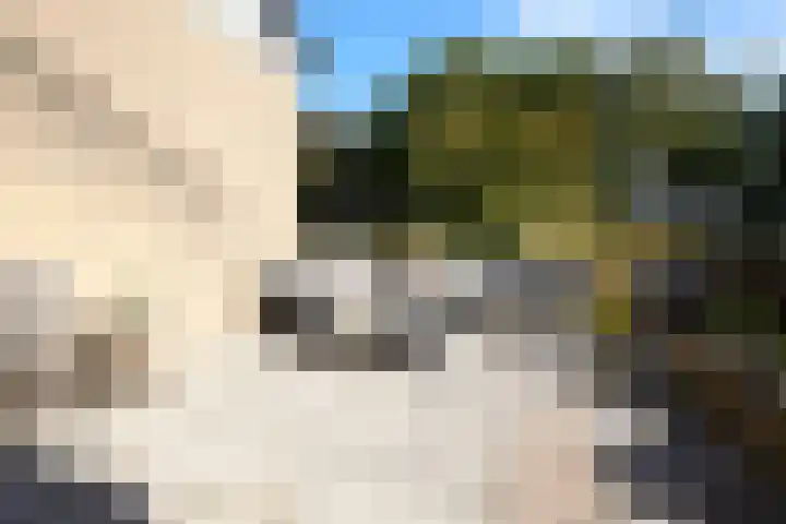 Dr Schaepmanlaan 2 A Noordwijkerhout thumbnail 64