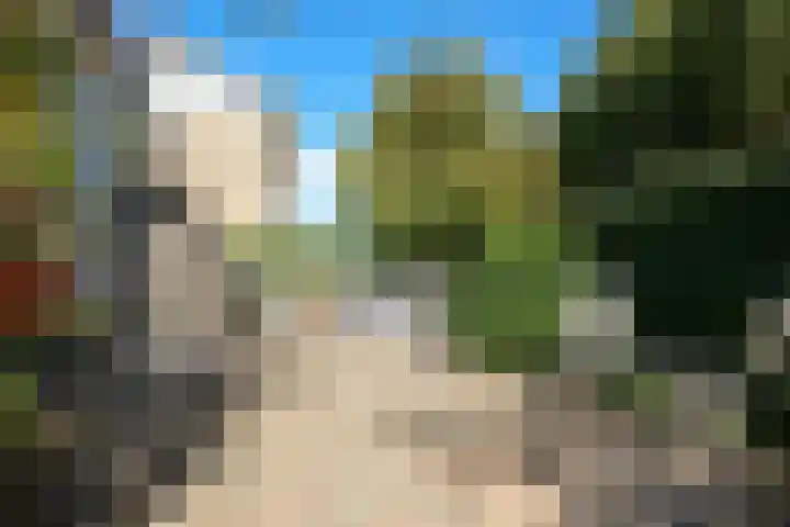Dr Schaepmanlaan 2 A Noordwijkerhout thumbnail 68