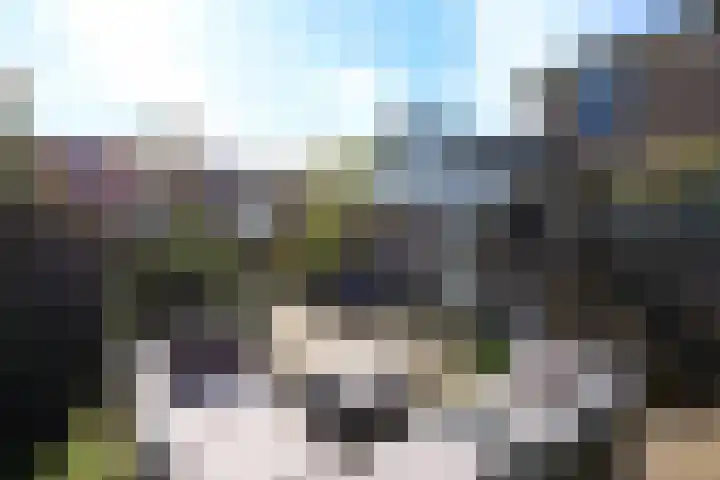 Dr Schaepmanlaan 2 A Noordwijkerhout thumbnail 69