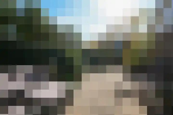 Dr Schaepmanlaan 2 A Noordwijkerhout thumbnail 71