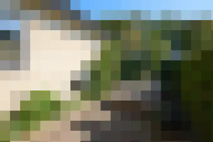 Dr Schaepmanlaan 2 A Noordwijkerhout thumbnail 73