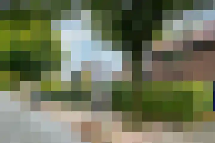 Dr. Schaepmanlaan 2 E in Zeist