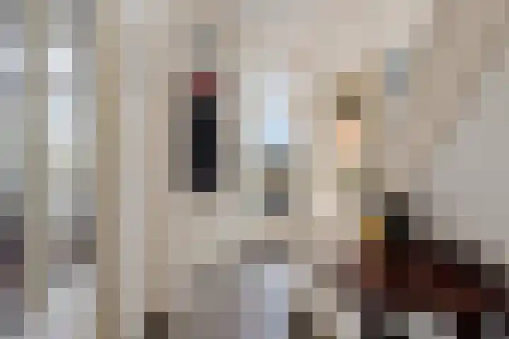 Dr. Schaepmanlaan 2 Enschede thumbnail 10