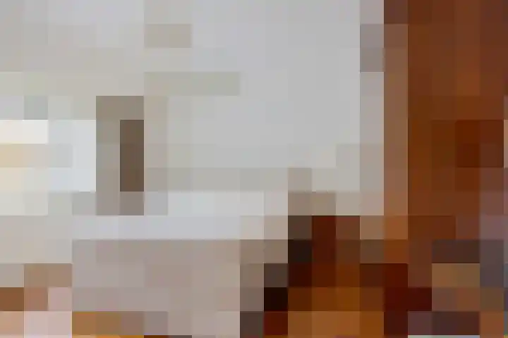 Dr. Schaepmanlaan 2 Enschede thumbnail 25
