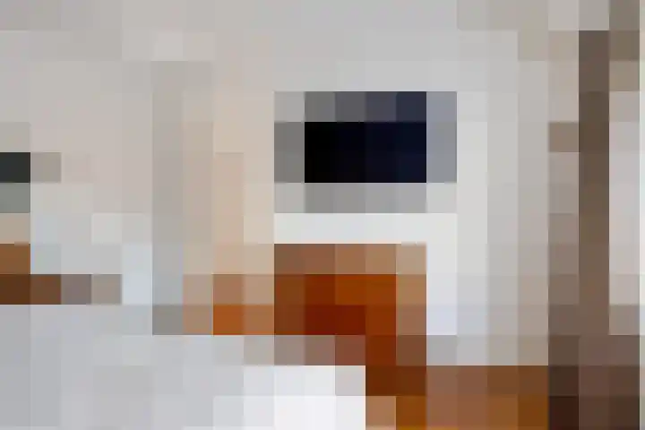 Dr. Schaepmanlaan 2 Enschede thumbnail 26