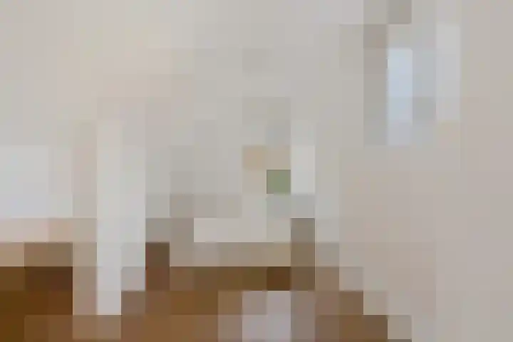 Dr. Schaepmanlaan 2 Enschede thumbnail 29
