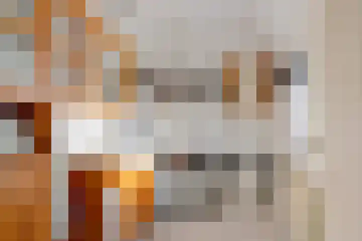 Dr. Schaepmanlaan 2 Enschede thumbnail 32