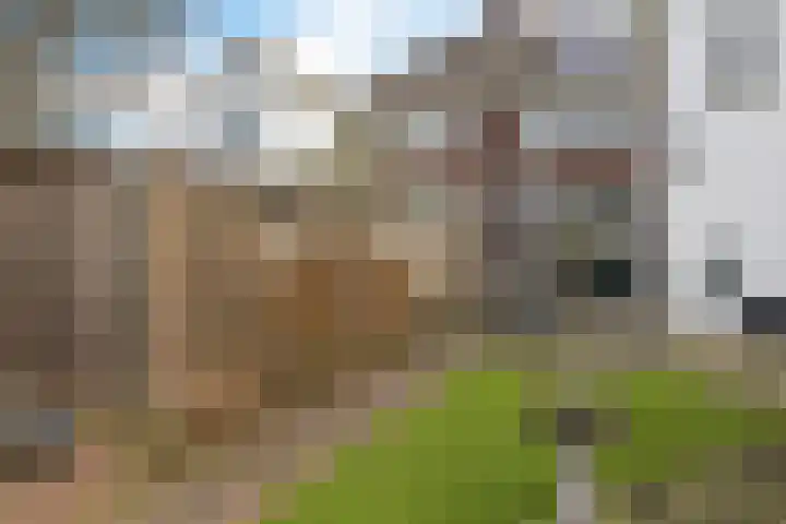 Dr. Schaepmanlaan 2 Enschede thumbnail 35