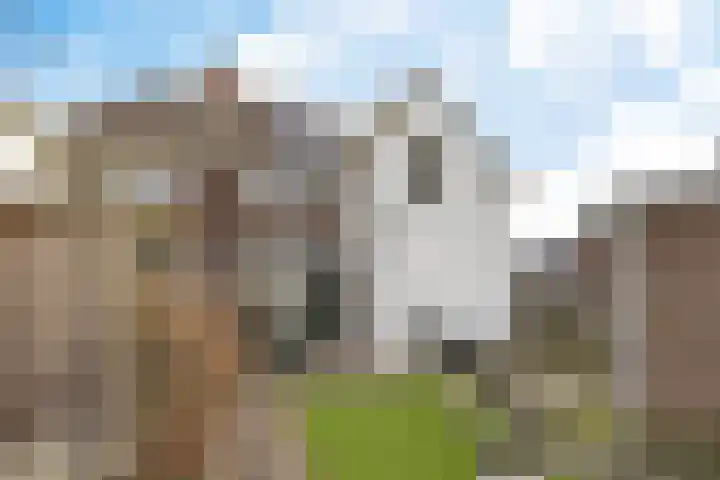 Dr. Schaepmanlaan 2 Enschede thumbnail 4