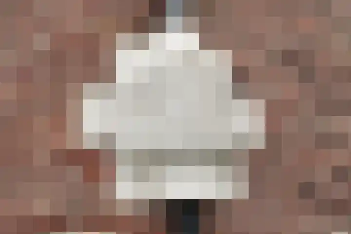 Dr. Schaepmanlaan 2 Enschede thumbnail 8