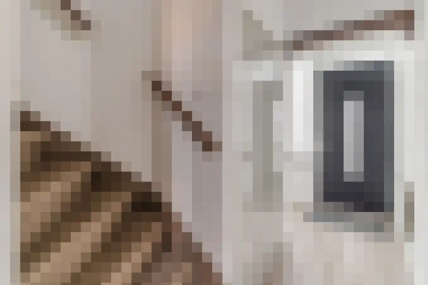 Dr. Schaepmanlaan 23 Waalwijk thumbnail 16