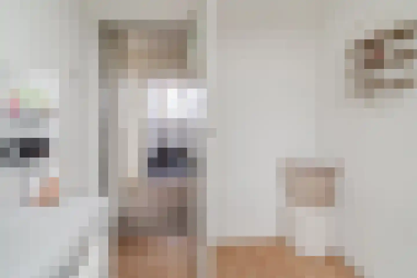 Dr. Schaepmanlaan 23 Waalwijk thumbnail 21