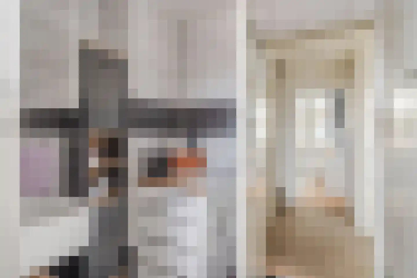 Dr. Schaepmanlaan 23 Waalwijk thumbnail 23