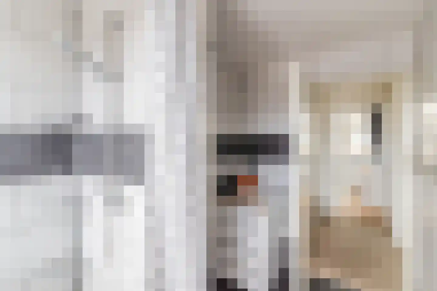 Dr. Schaepmanlaan 23 Waalwijk thumbnail 24