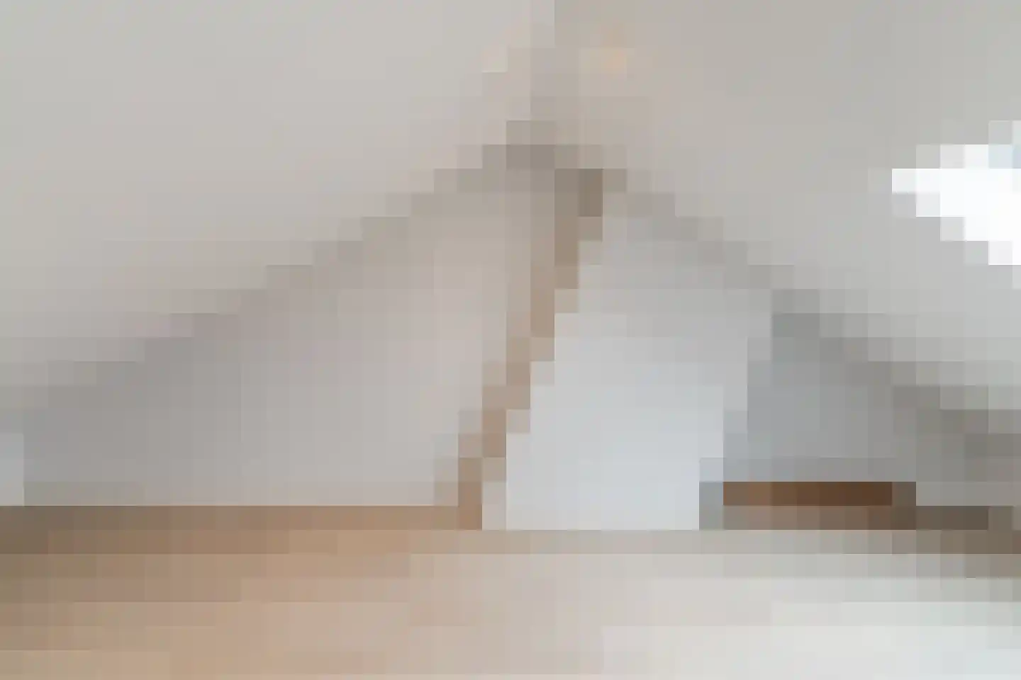 Dr. Schaepmanlaan 23 Waalwijk thumbnail 28