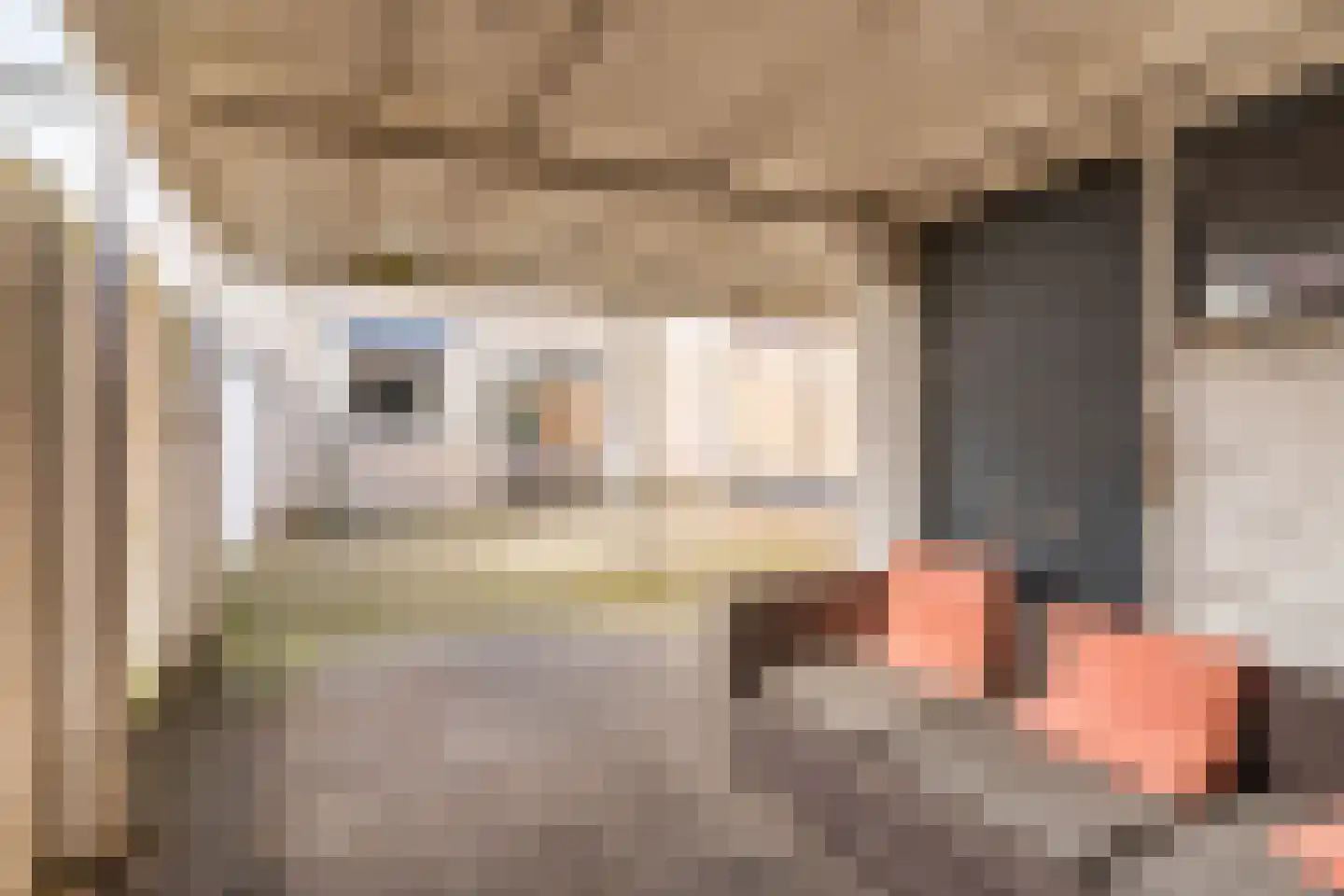 Dr. Schaepmanlaan 23 Waalwijk thumbnail 33