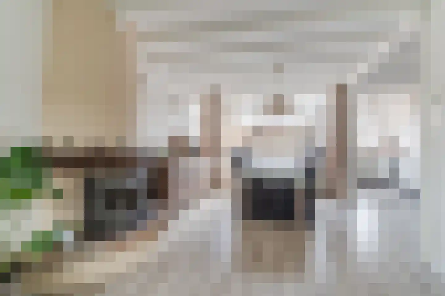Dr. Schaepmanlaan 23 Waalwijk thumbnail 7