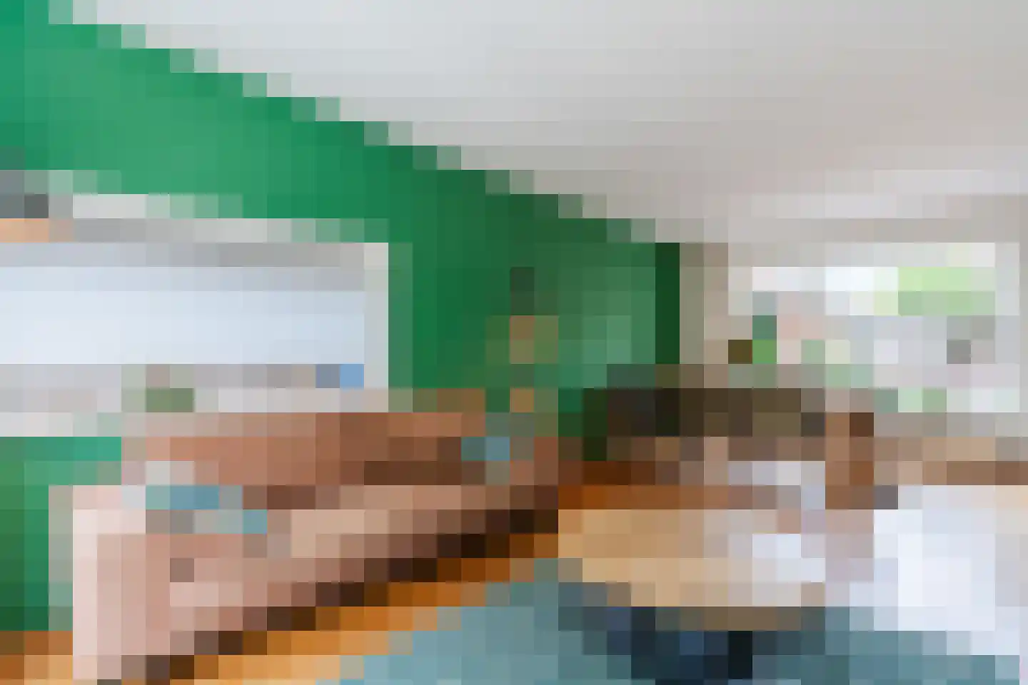 Dr. Schaepmanlaan 30 Zwolle thumbnail 10
